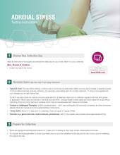 Load image into Gallery viewer, Adrenal Stress Profile DS, Cx4-Saliva Test Kit ZRT Lab - HrtORG