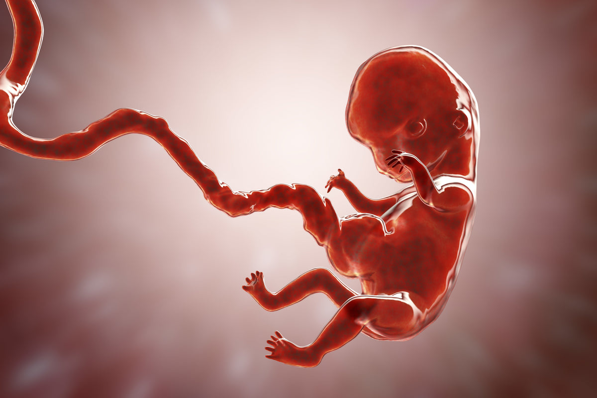 Fetility Images Fertility – HRT