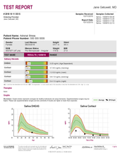 Load image into Gallery viewer, Adrenal Stress Profile DS, Cx4-Saliva Test Kit ZRT Lab - HrtORG