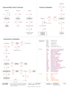 NeuroAdvanced Profile Dried Urine: GABA, Glu, Gly, DA, Epi, NE, HIST, 5-HT, PEA, DOPAC, HVA, 5-HIAA, NMN, VMA, Crtn